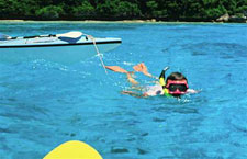 Tonga-South Pacific-Adventure Week in Vava'u